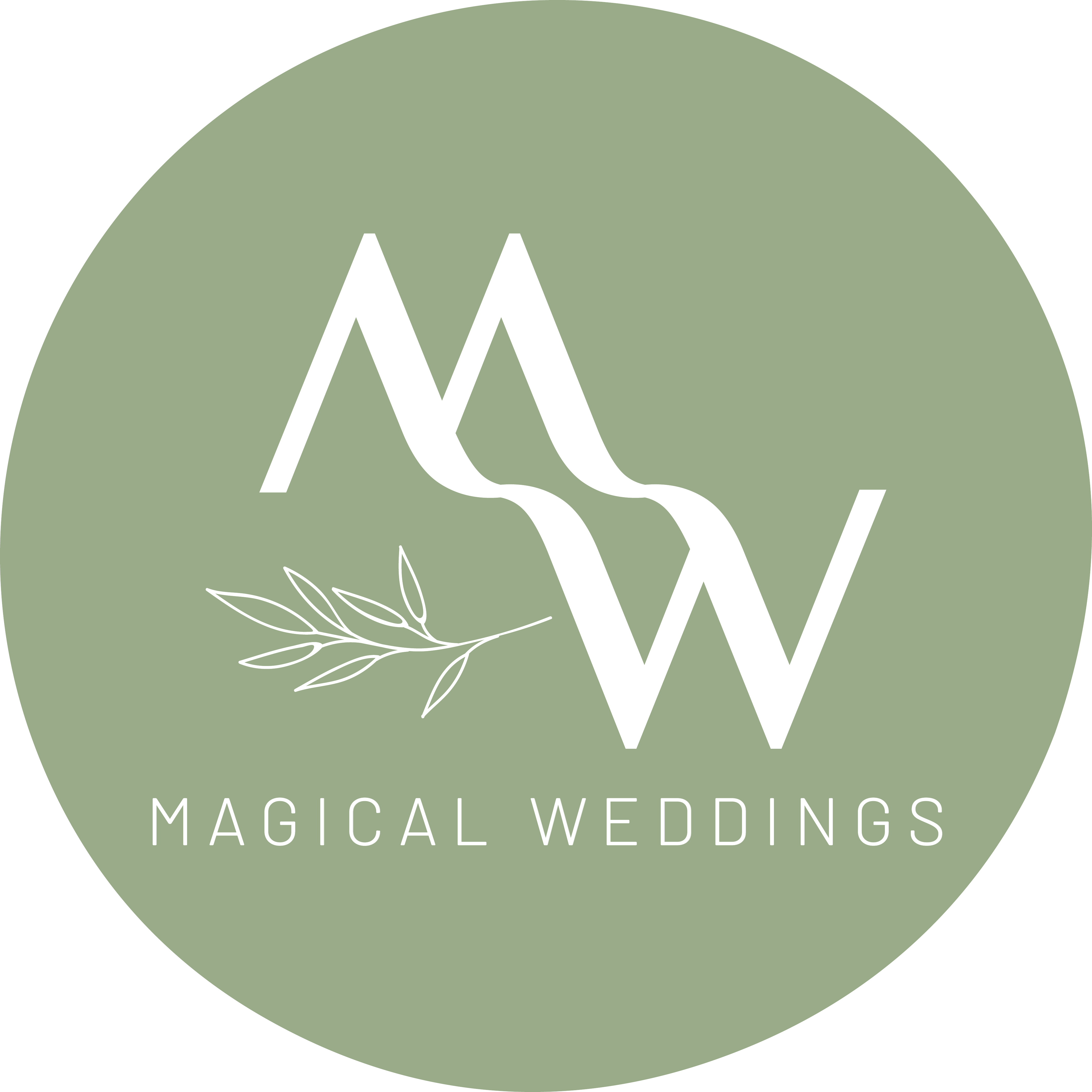 Magical Weddings